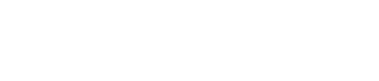 Logo wit FDT